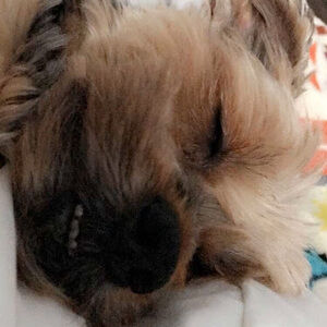 Meet your Posher, Tiffani